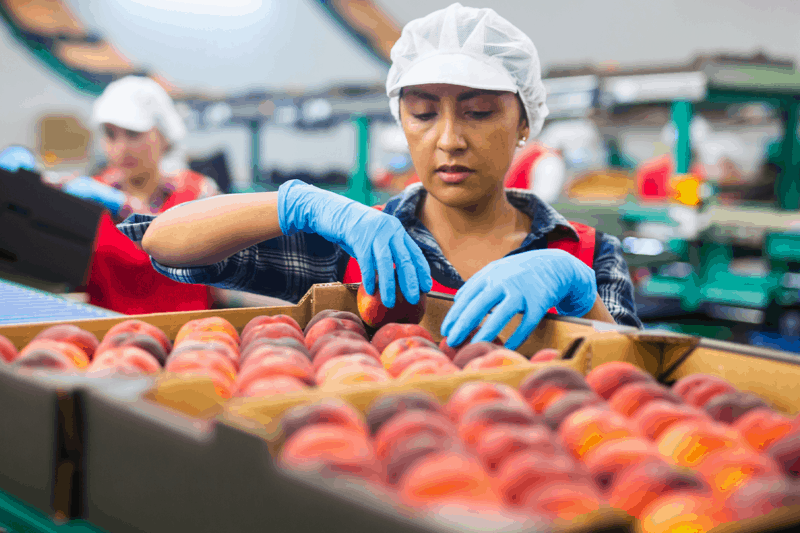 3rd-Most-Dangerous-Occupation-800x533-1