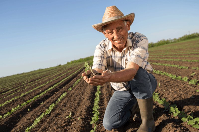 50-Crop-Worker-Injuries-CLASSIFIED-AS-A-SPRAIN-OR-STRAIN-800x533-1