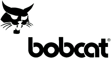 Bobcat